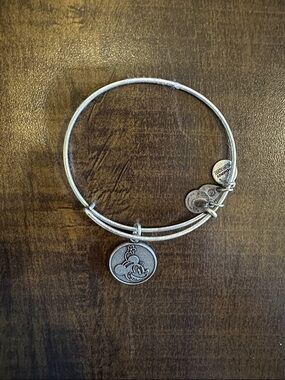 Alex and Ani Disney Bangle